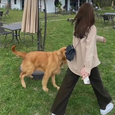 红小鬼齐步走